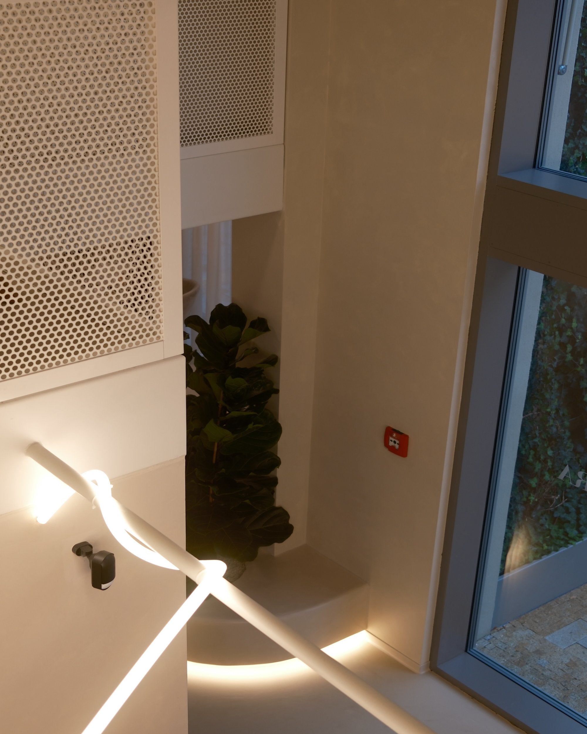 DNA BEAUTY / VYDRICA