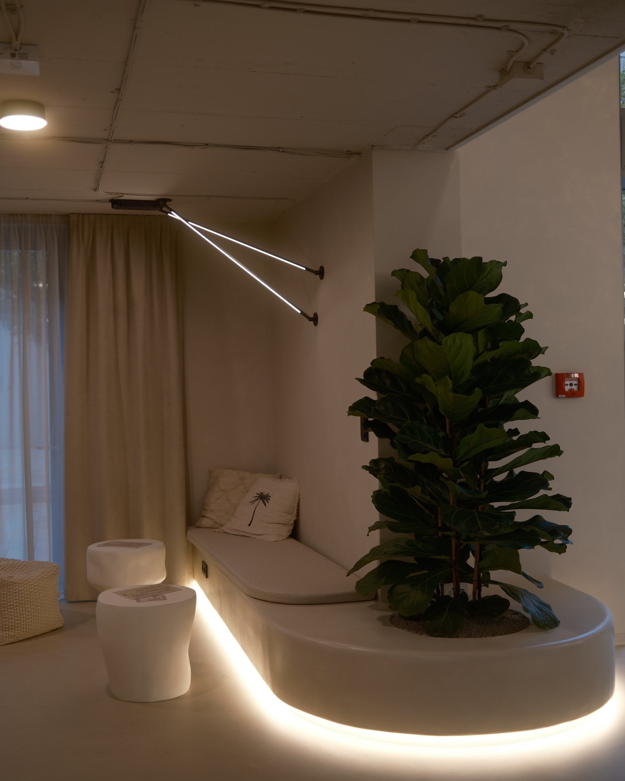 DNA BEAUTY / VYDRICA