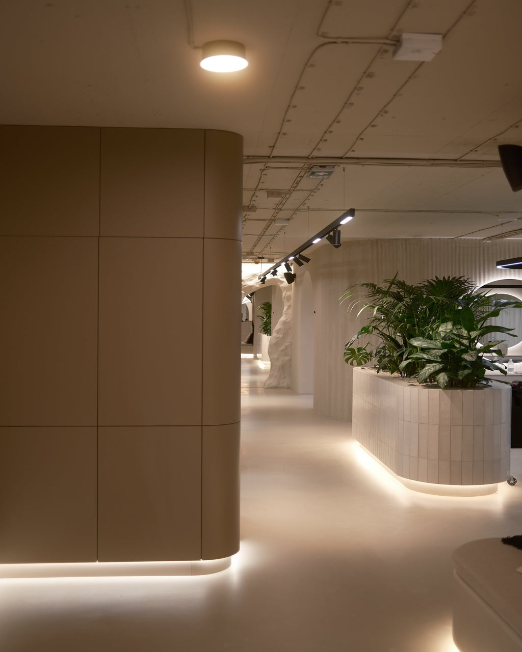 DNA BEAUTY / VYDRICA