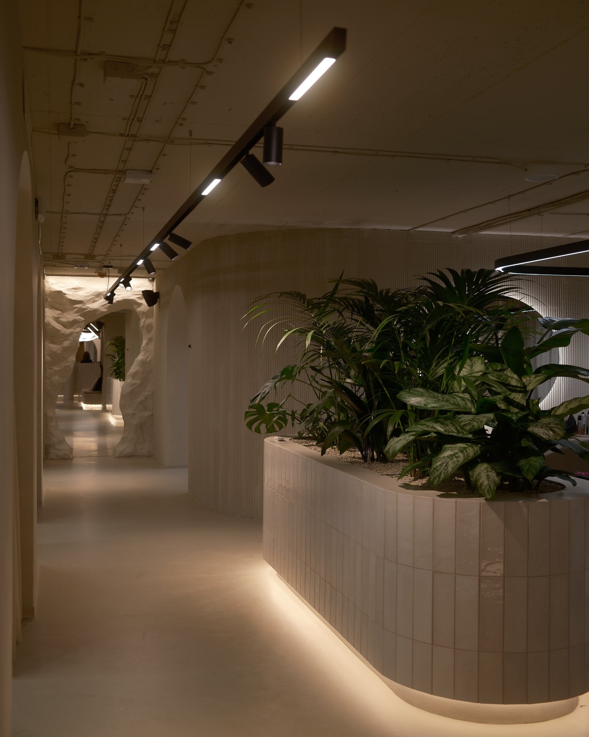 DNA BEAUTY / VYDRICA