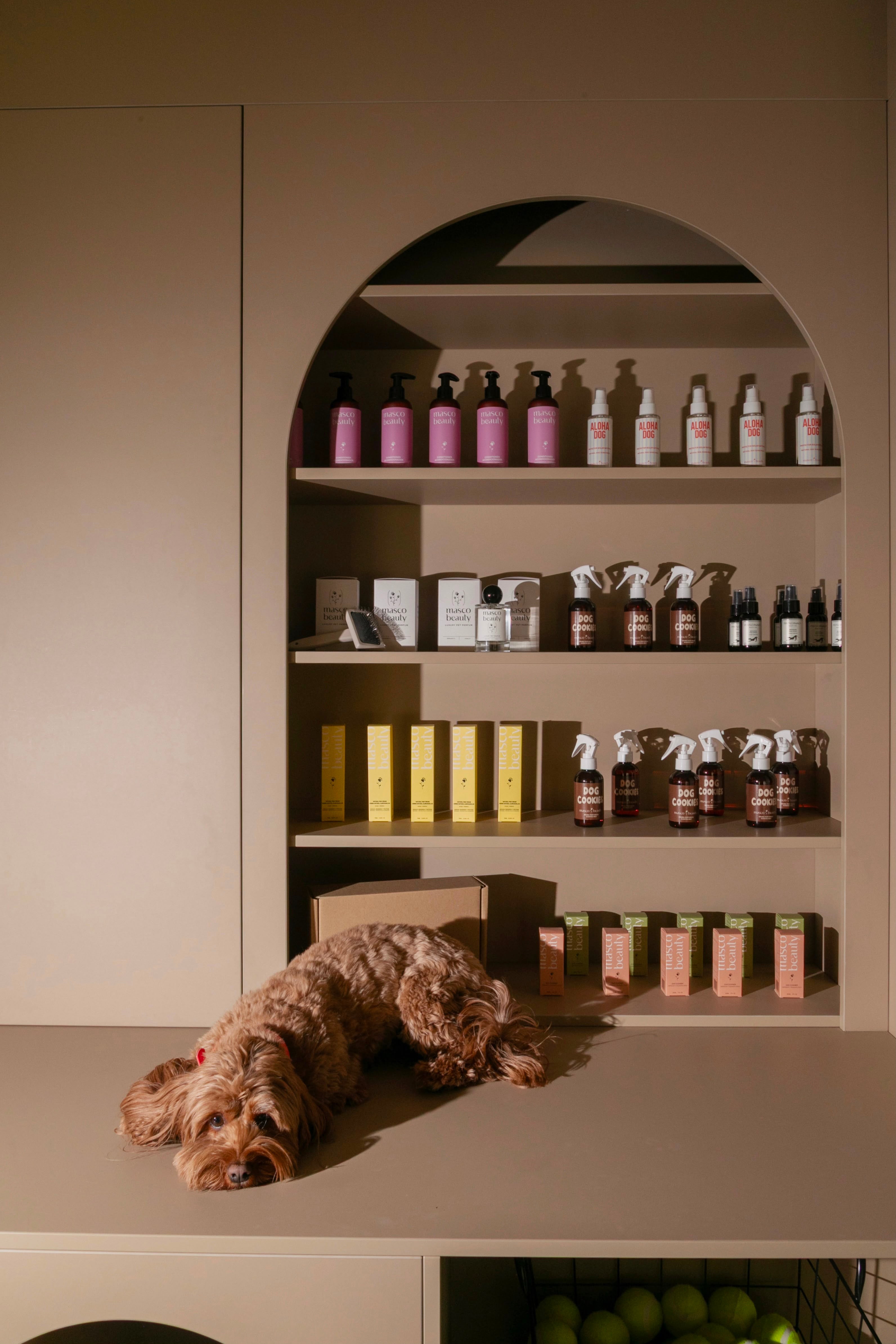 DOGSPA